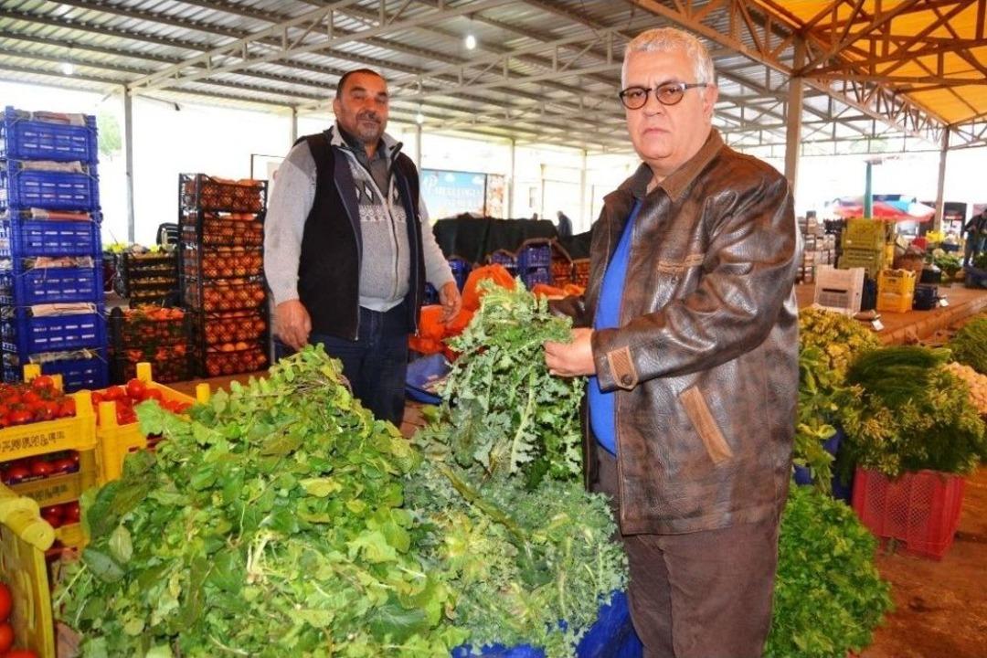 Ayvalık&rsquo;ta 1. Doğa Festivali &lsquo;istifnolu G&uuml;nler&rsquo; İ&ccedil;in Geri Sayım Başladı