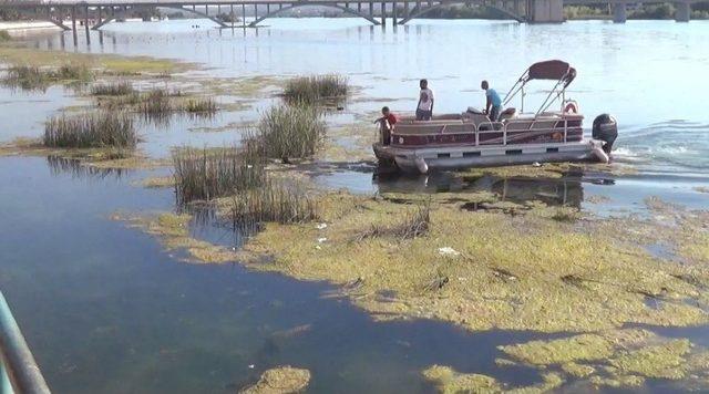 Fırat Nehri’ne Düşen 2 Köpek Tekneyle Kurtarıldı