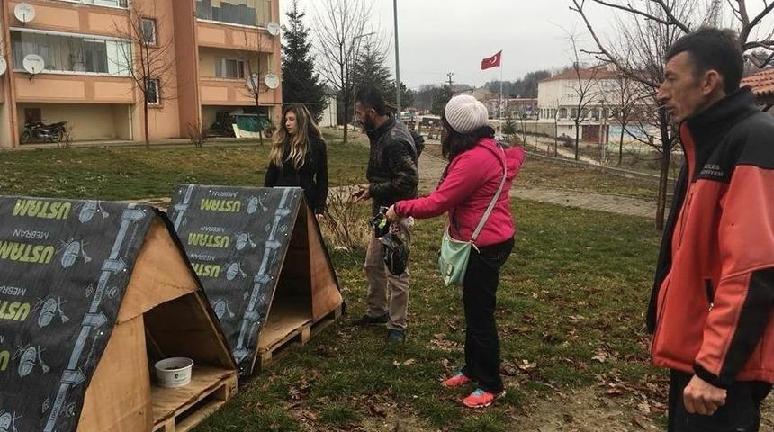 Kanada&rsquo;da Eğitim Ve İş İmk&acirc;nlarını Anlattılar