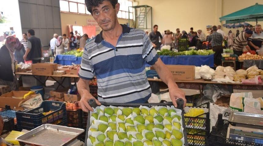 Sezonun İlk İncirlerinin Kilosu 10 Lira