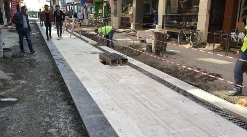 Fatsa’da Yayalaştırma Projesi