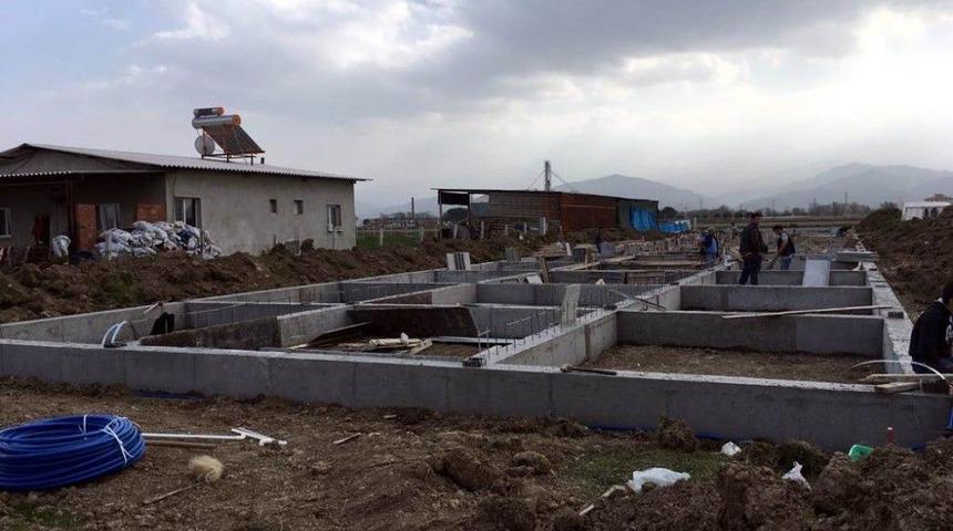 Damızlık Koç-teke Ağıl Projesi İnşaatı Yükseliyor