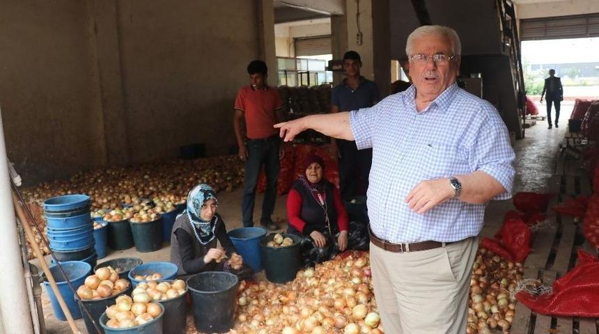 15-20 Gün İçerisinde Patates Ve Soğan 1-1,5 Lira Olacak