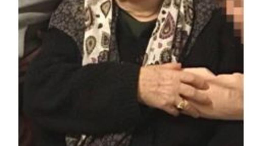 Kastamonu’da Arının Soktuğu Kadın Hayatını Kaybetti