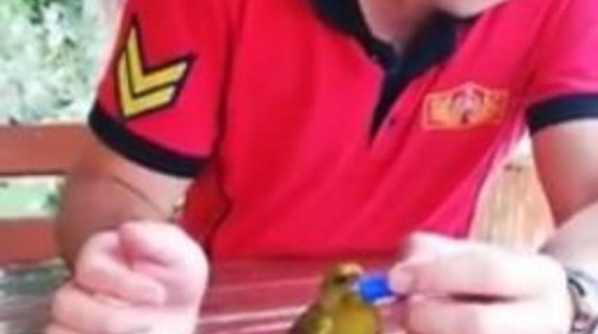 İtfaiye Eri Susayan Kuşa Şişe Kapağından Su İçirdi