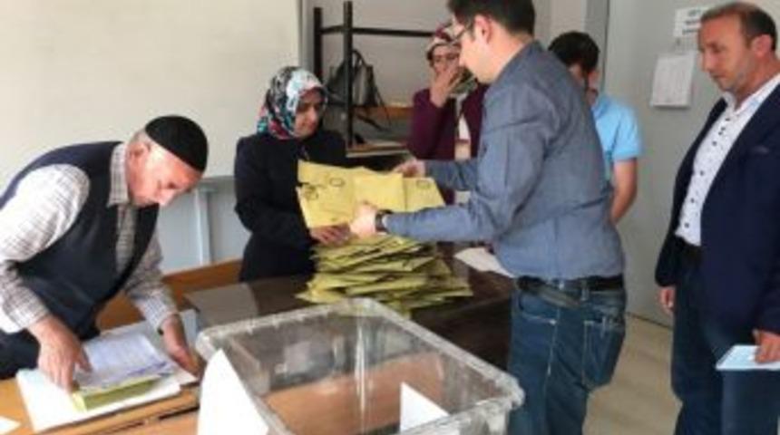 Muş’ta Ak Parti 1, Hdp 3 Milletvekili Çıkardı