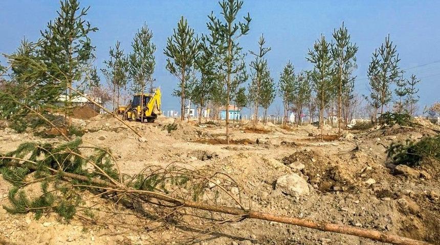 Atabey İskelesi Yeniden D&uuml;zenleniyor