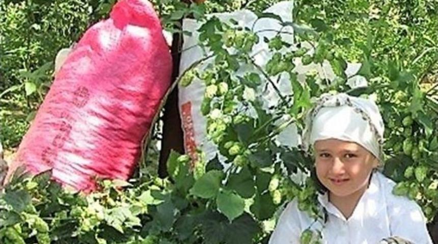 Şerbet&ccedil;iotu&rsquo;nun Fiyatı Belirlendi