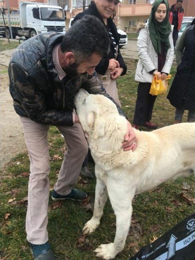 Nilüfer’den Keles’teki Can Dostlara Yardım Eli