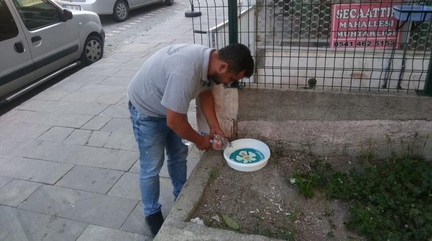 B&uuml;y&uuml;kşehirden Sokak Hayvanları İ&ccedil;in Su Kapları