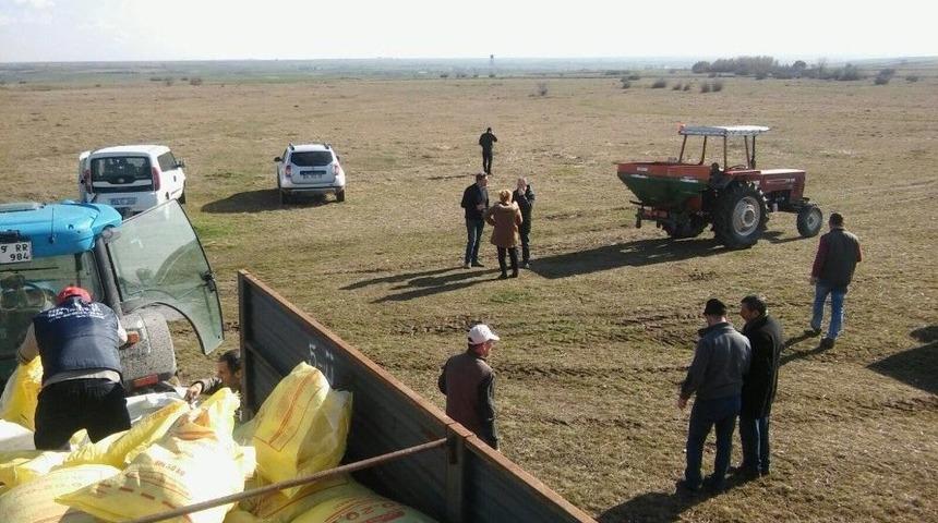 Tekirdağ’da Mera Gübreleme Çalışmaları