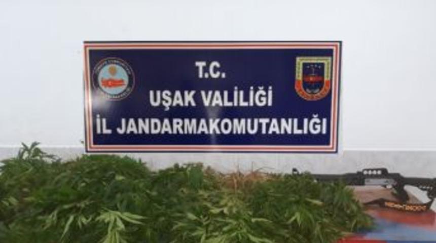 Uşak&rsquo;ta Uyuşturucu Operasyonu