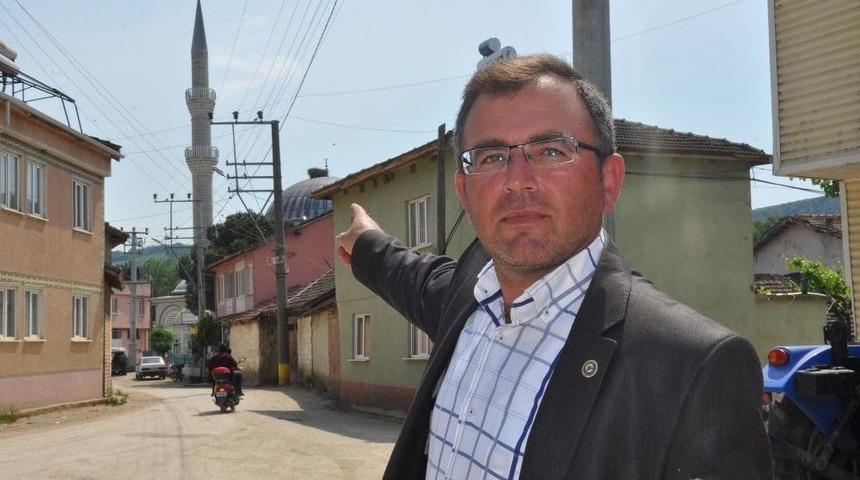 Leylekler 20 Yıldır Aynı Yuvada