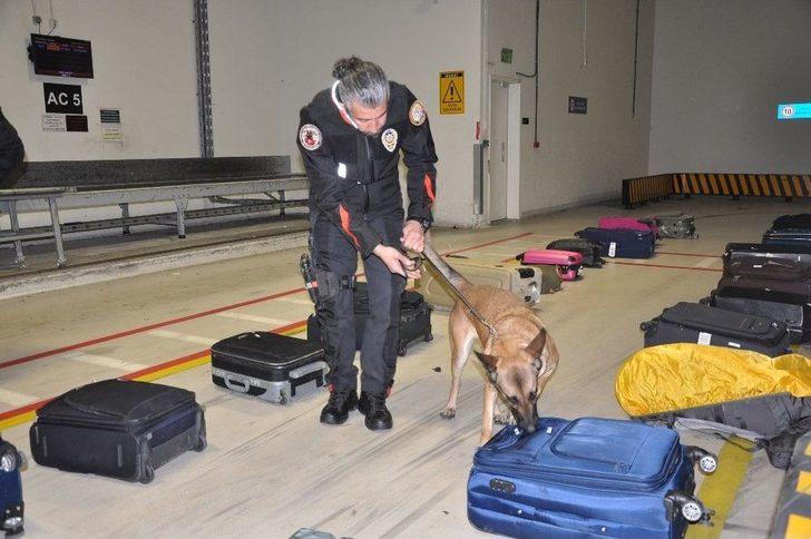 Eğitimdeki Polis Köpekleri Görev İçin Hazırlanıyor G4