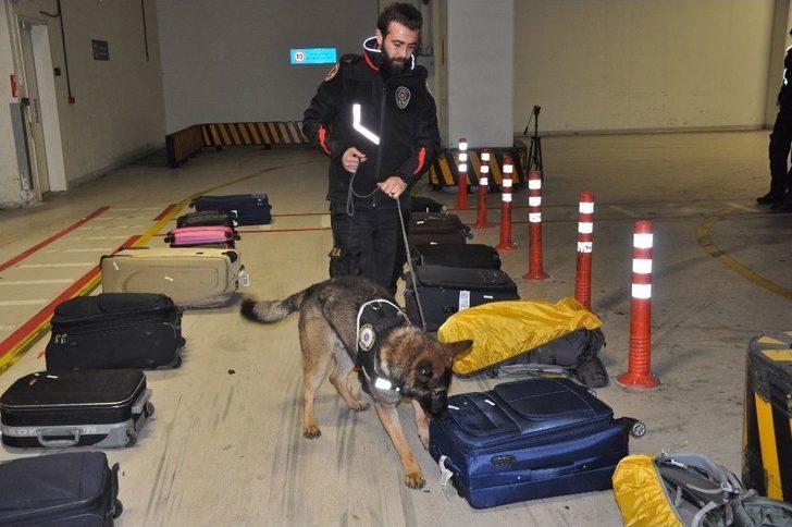 Eğitimdeki Polis Köpekleri Görev İçin Hazırlanıyor G5