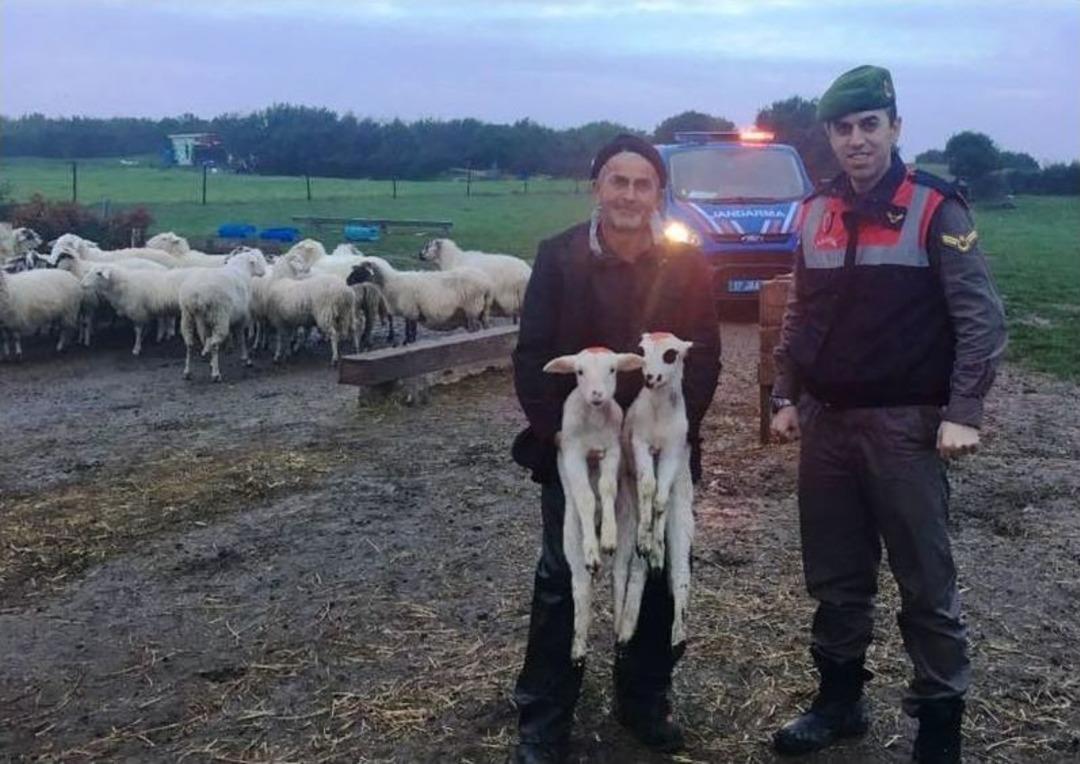 &Ccedil;anakkale&rsquo;de Hayvan Hırsızlığı &Ccedil;etesi &Ccedil;&ouml;kertildi