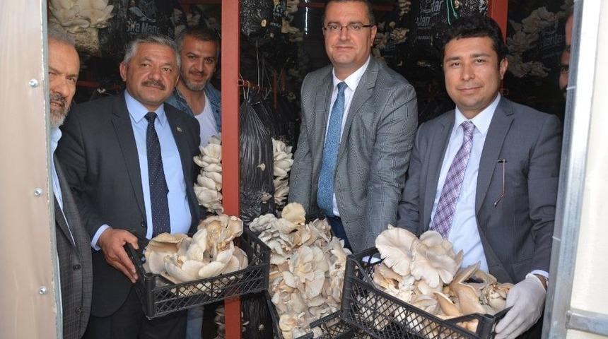 İstiridye Mantar &Uuml;reticileri Kursu Tamamladı