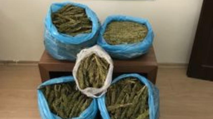 Otob&uuml;st&uuml; Uyuşturucu Madde Ele Ge&ccedil;irildi