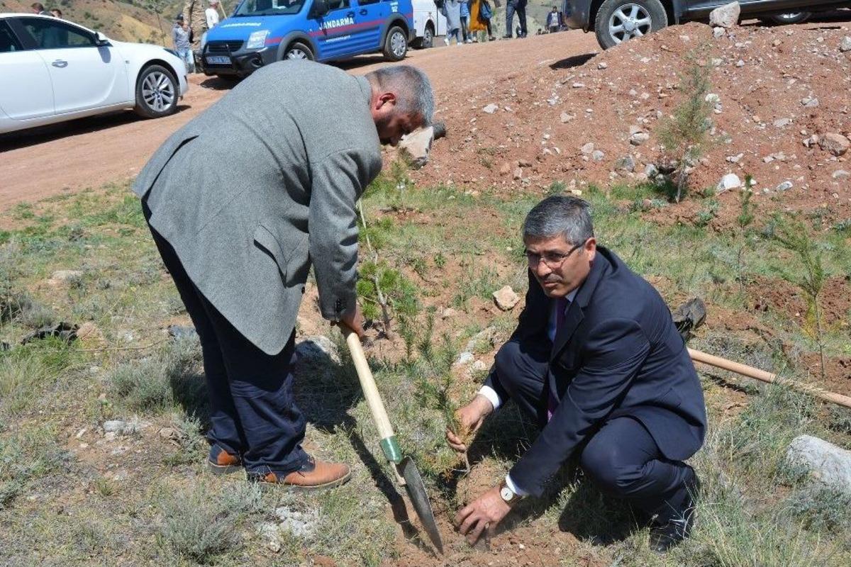 Suşehri&rsquo;nde Şehitler Tepesinde Fidan Dikimi