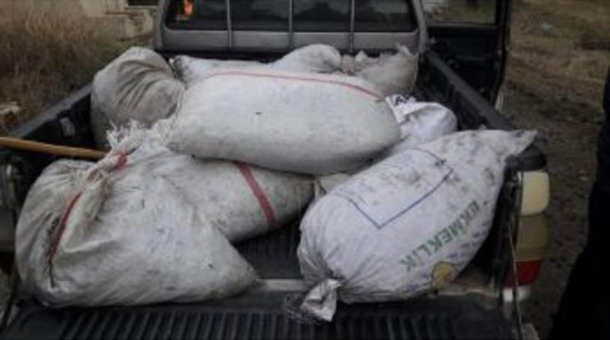 Başka Araca Ait Plakayla Zeytin &Ccedil;alan 5 Ş&uuml;pheli Jandarmadan Ka&ccedil;madı