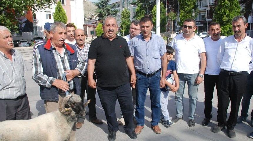 Se&ccedil;im Sonu&ccedil;larını Kurban Keserek Kutladı