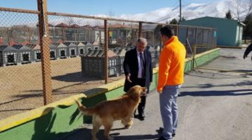 Niğde Belediye Başkanı &Ouml;zkan Hayvan Barınağını İnceledi