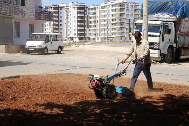 Haliliye Belediyesi, Parkları Yaşam Alanlarına Dönüştürüyor