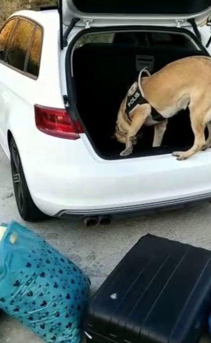 Dedektör Köpeğin Tepki Verdiği Tekerden 400 Bin Tl’lik Uyuşturucu Çıktı G4