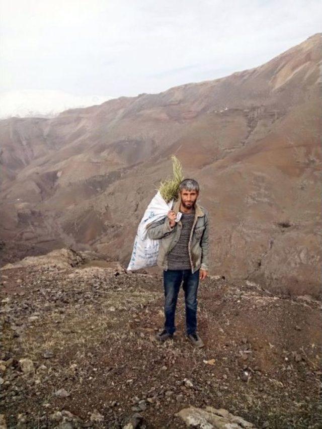 Kilometrelerce Yaralı Dağ Keçisini Sırtında Taşıyan Çoban Bu Kez Yem Çuvallarını Taşıdı