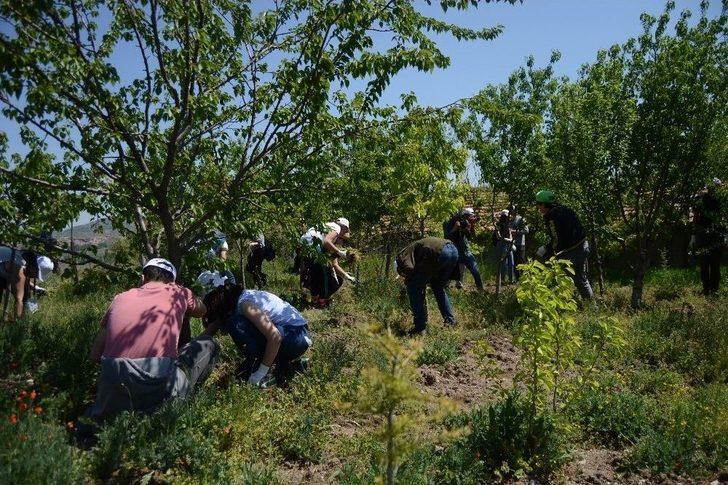 Köy Hayatını Üreterek Ve Yaşayarak Öğrendiler G1