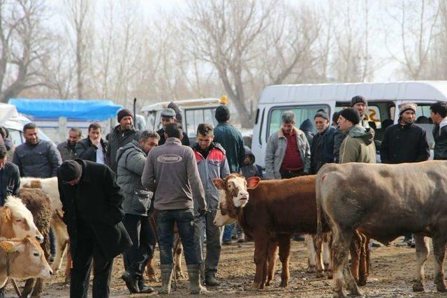 Başkan Altun, Hayvan Pazarı’nda