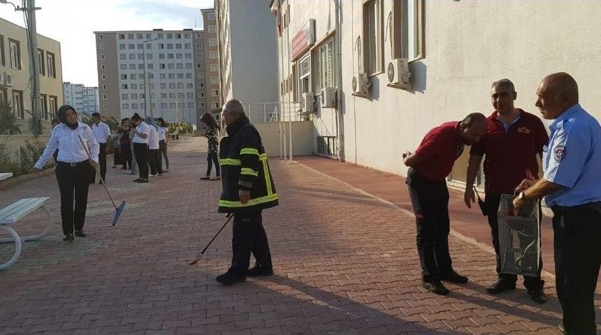 &Ouml;ğrenci Yurdu Bah&ccedil;esinde Yılan Paniği