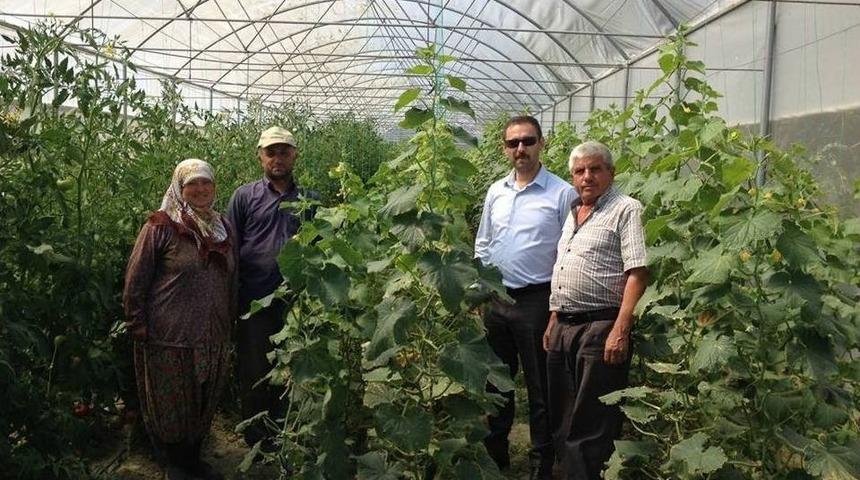 Büyükşehir’in Kurduğu Seralarda Üretim Kışın Da Sürüyor