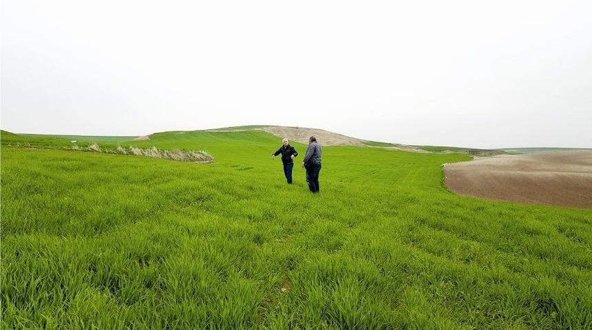 Kahta Ziraat Odasından Tahıl Üreticilerine Uyarı