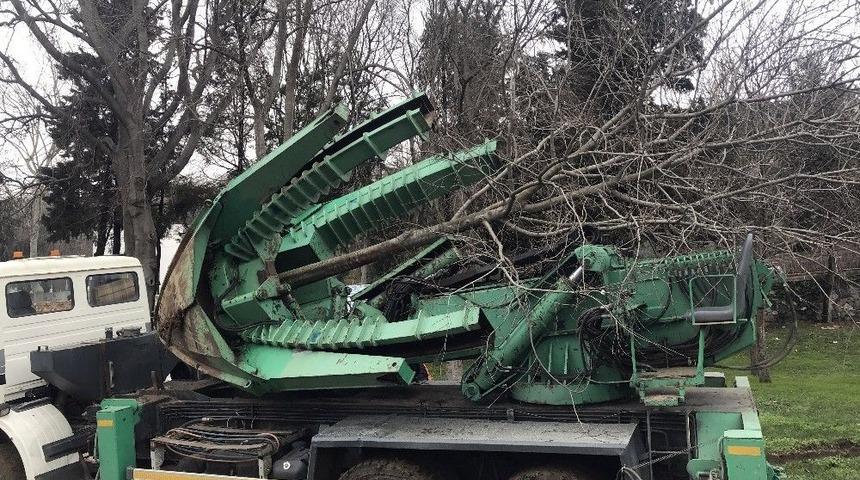 Ma&ccedil;ka Parkındaki Ağa&ccedil;lar S&ouml;k&uuml;lmeye Başlandı