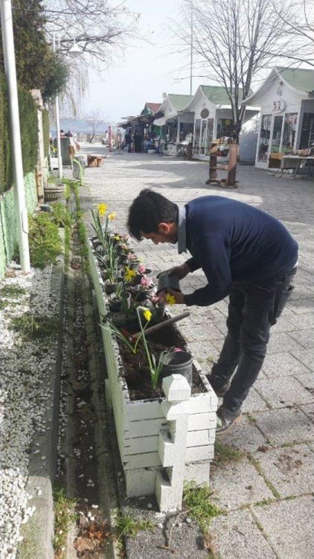 Öğrenciler Sanat Sokağı’nı Çiçeklerle Donattı