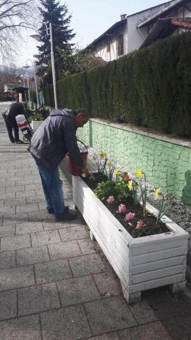 Öğrenciler Sanat Sokağı’nı Çiçeklerle Donattı