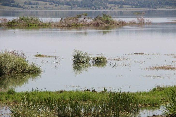 ’yüzen Adalar’ Artık Yüzmüyor G1