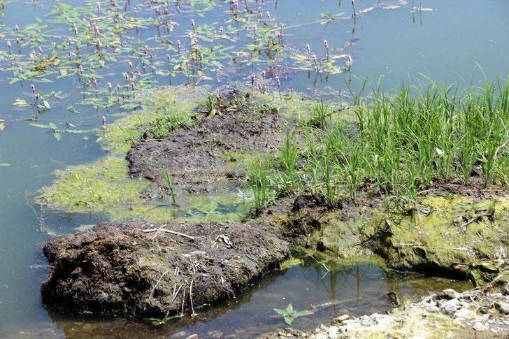 ’yüzen Adalar’ Artık Yüzmüyor G3