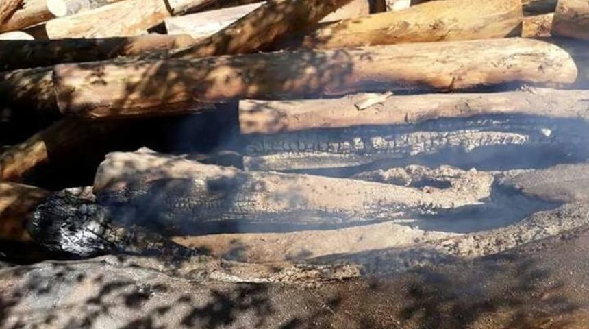 Sinop&rsquo;ta Ormandaki Tomruklar Yakıldı