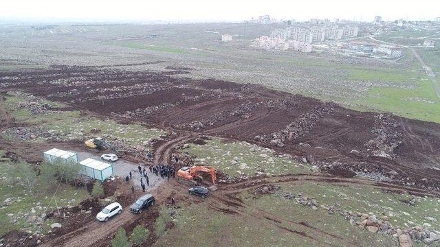 Siverek’te Yeşillendirme Çalışmaları Sürüyor