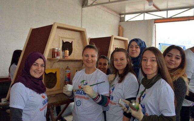 Gen&ccedil;lerden Sokaktaki Dostlara Yeni Evler 1