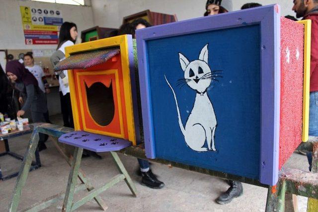 Gen&ccedil;lerden Sokaktaki Dostlara Yeni Evler 2