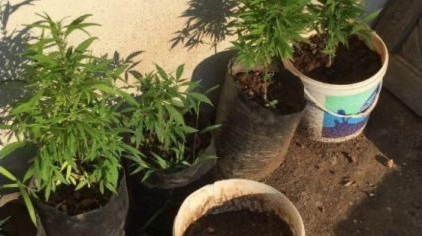 Antalya’da Uyuşturucu Operasyonu: 17 Gözaltı