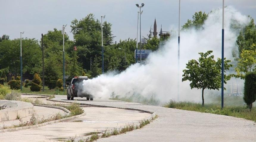 Beyşehir&rsquo;de Sinekle M&uuml;cadele &Ccedil;alışmaları S&uuml;r&uuml;yor