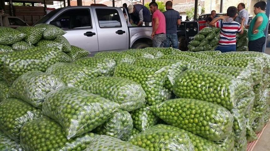 Erik Piyasası 3,5 Lira İle A&ccedil;ıldı