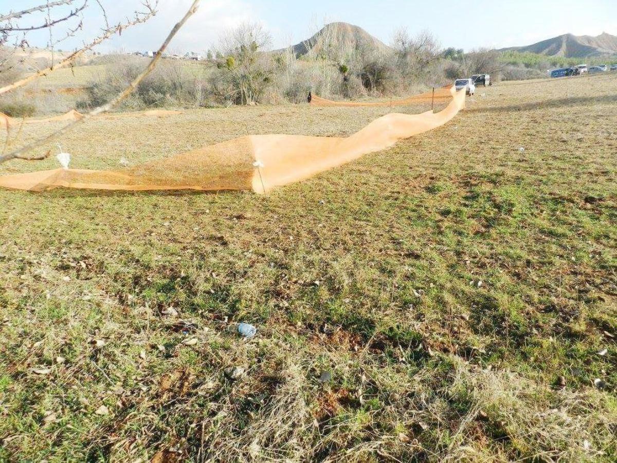 Tarlada K&ouml;pek D&ouml;v&uuml;ş&uuml; İ&ccedil;in Arena Oluşturdular