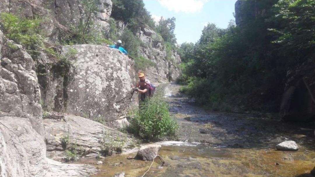 Avlakkaya G&ouml;renleri Kendisine Hayran Bırakıyor