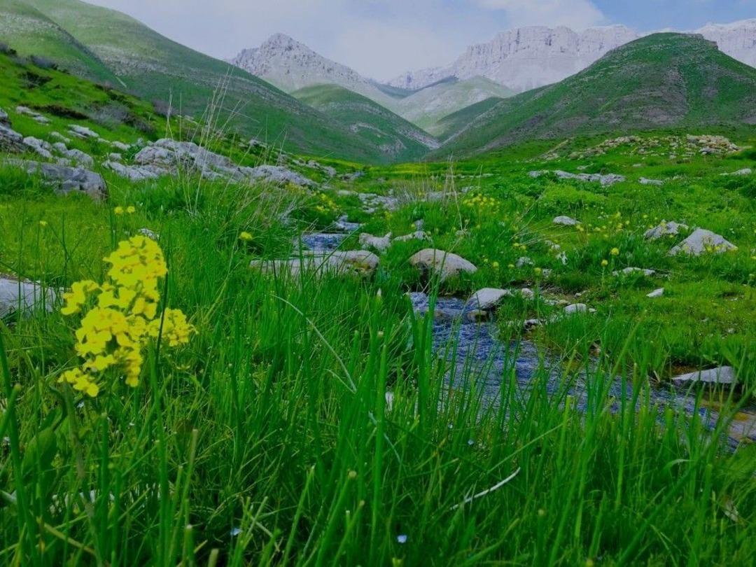 Ter&ouml;r&uuml;n Yerini Huzura Bıraktığı Beyt&uuml;şşebap Fotoğraflarla B&uuml;y&uuml;ledi