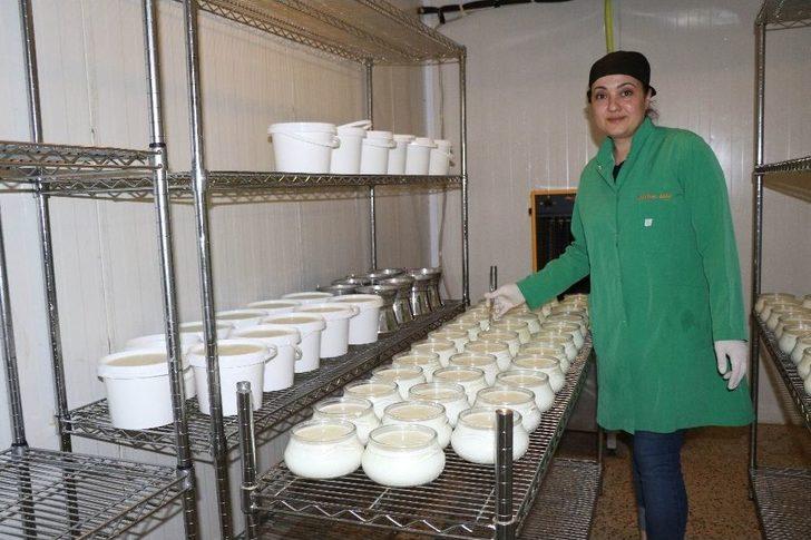 (özel) Manda Yoğurdu, Sağlık Kaynağı G1